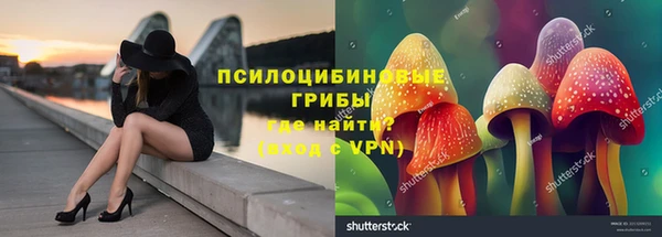 спиды Алексеевка