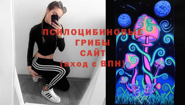 спиды Алексеевка