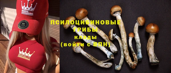 спиды Алексеевка