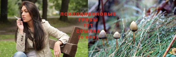 а пвп мука Алзамай