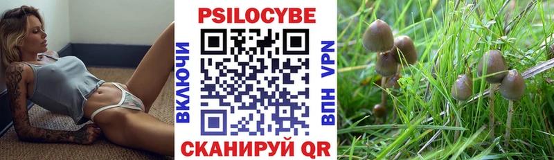 Галлюциногенные грибы мухоморы  Северская 