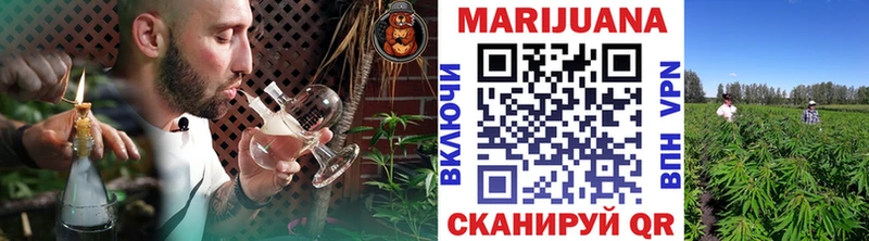 Бошки марихуана сатива  Северская 